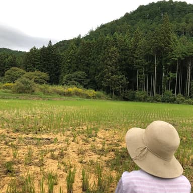 ■　出荷が始まりました。