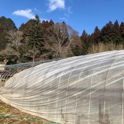■　冬の畑仕事