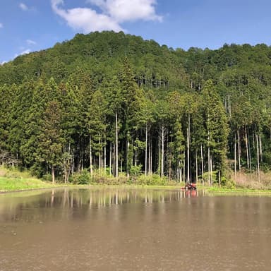 ■　田んぼの準備