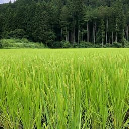 ■　一意専心