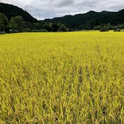 ■　たべくらさん出店三周年