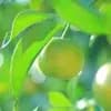 サムネイル 14