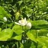 サムネイル 12