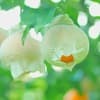 サムネイル 10