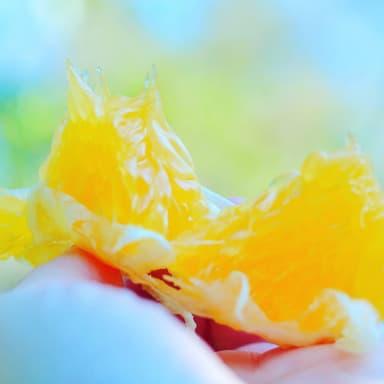 今シーズン、いよいよラスト！初夏にぴったりの柑橘が発売しました！佐田岬生まれの柑橘「サンフルーツ」です！