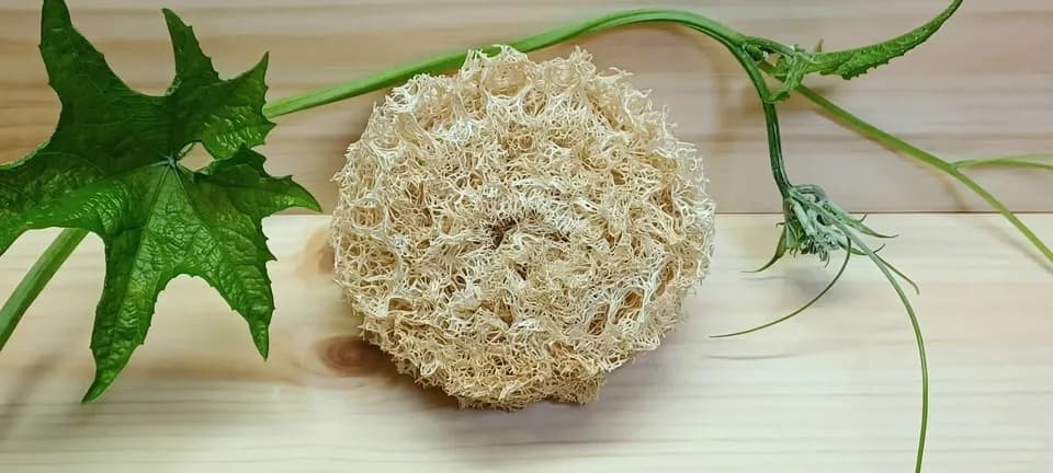 手作り＜有機へちまキッチン用たわし＞3点セット
