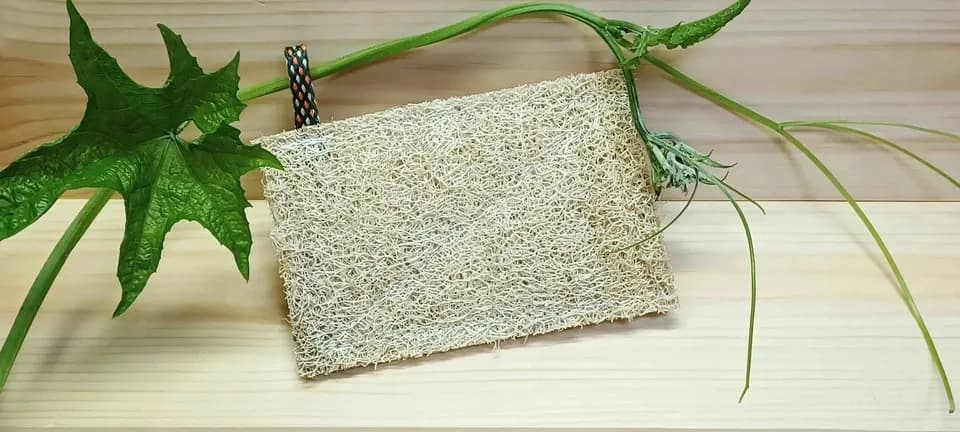 手作り＜有機へちまキッチン用たわし＞3点セット