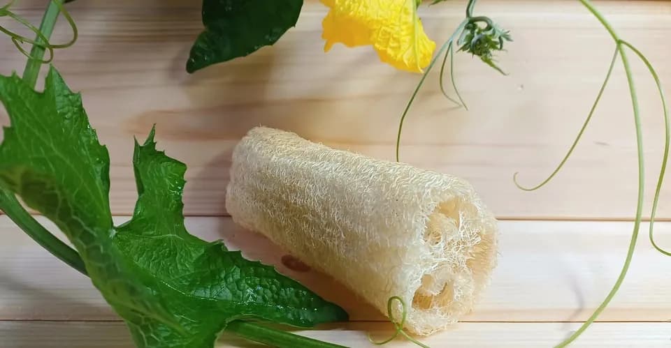 手作り＜有機へちまキッチン用たわし＞3点セット