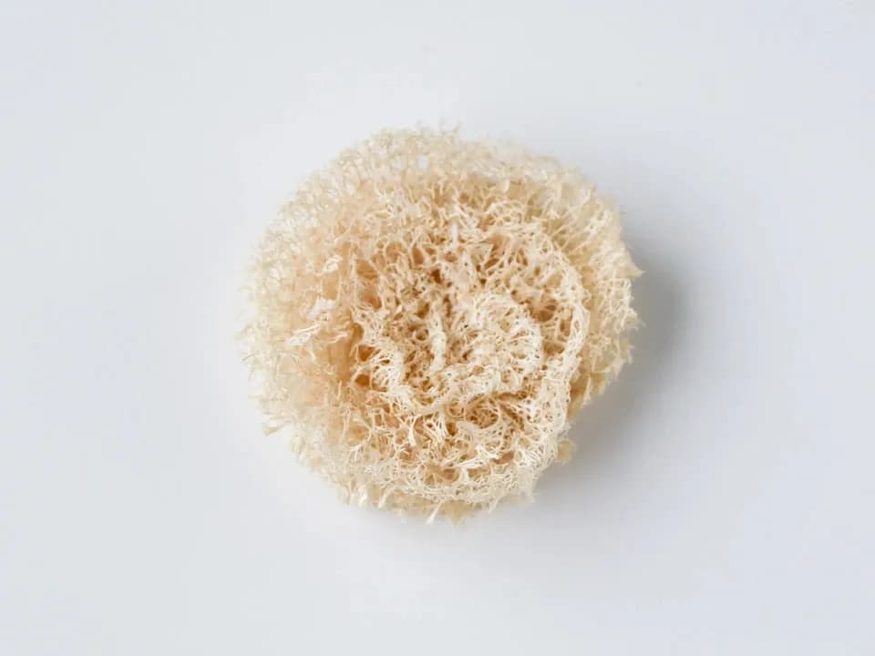 手作り＜有機へちまキッチン用たわし＞3点セット