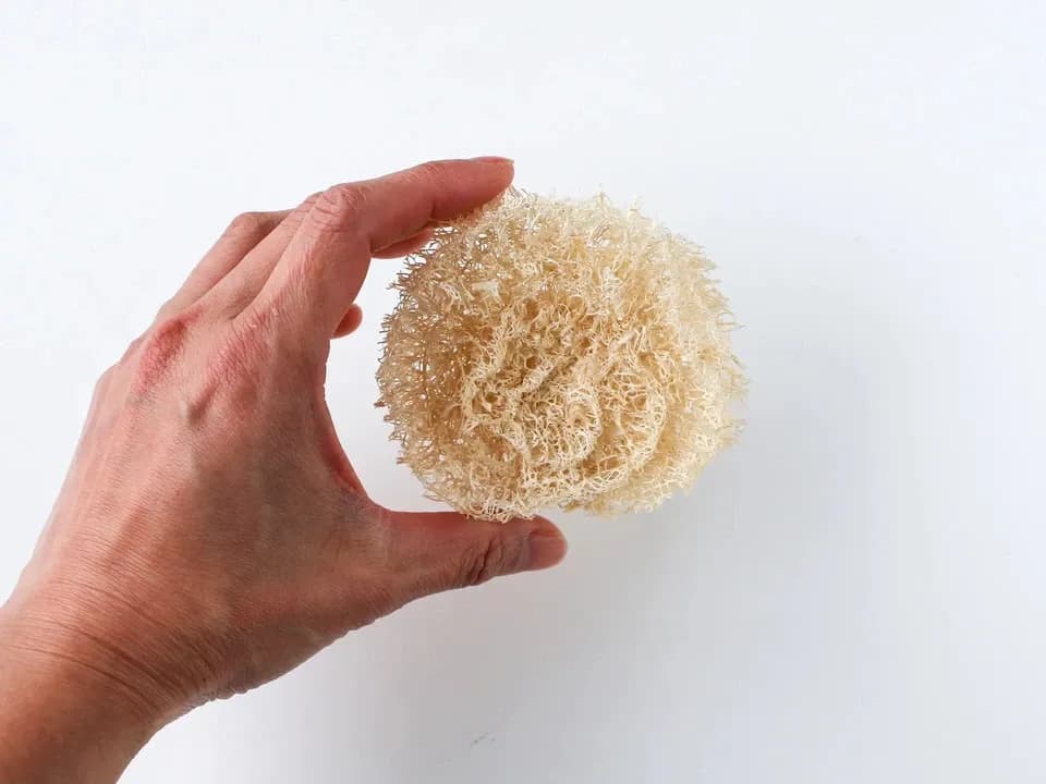 手作り＜有機へちまキッチン用たわし＞3点セット