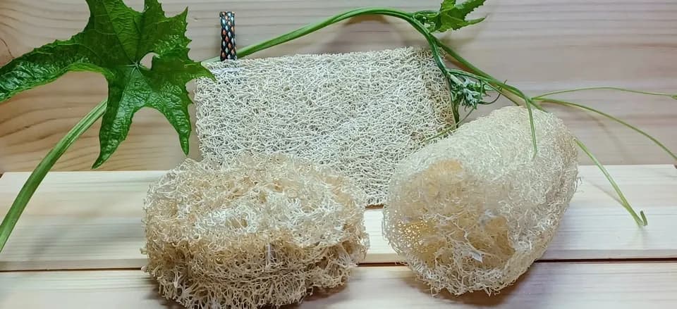 へちまキッチンスポンジ３点＋キッチン石鹸１個