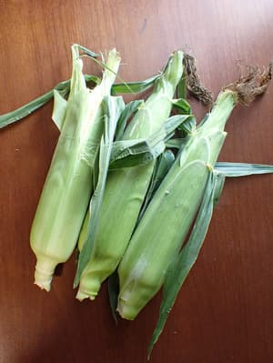 夏のお楽しみの画像 1