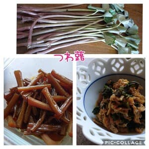 無農薬無肥料のお味の違いを感じての画像 1