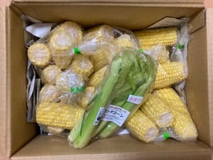 おいしかったです(o^^o)の画像 1
