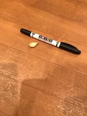 ピーナッツより小さいかもの画像 1