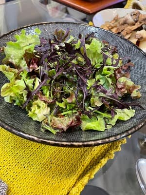 お野菜の説明書付きの画像 1