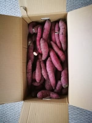 しっとりもちもち食感です!の画像 2