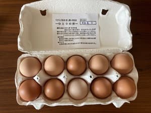 貴重な卵ケースで欲しいの画像 2