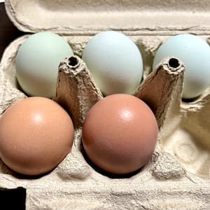 3色眺めてるだけでも楽しい!の画像 2