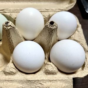 3色眺めてるだけでも楽しい!の画像 1