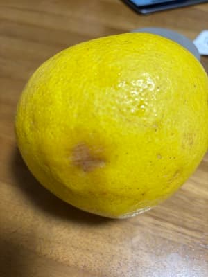 痛みの画像 3