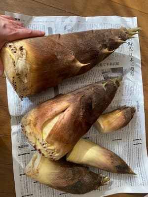 大満足です!の画像 1