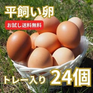 【お試し品・とれたて平飼い有精卵|7日以内に発送可】完全自家配合! 全て国産・添加物不使用。大自然の恵みをそのままお届け