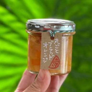 バルヤンナイク新商品のご案内