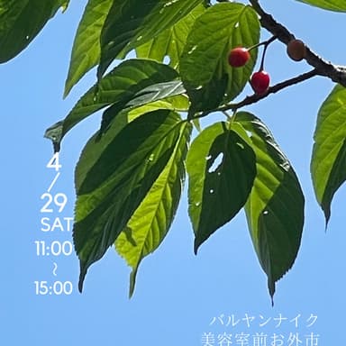 バルヤンナイク美容室前お外市vol.34