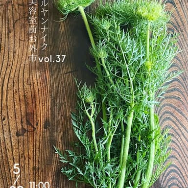 次回のバルヤンナイク美容室前お外市は