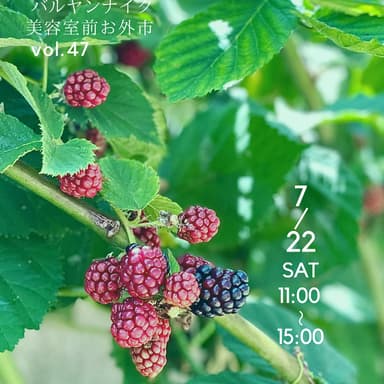 明日7/22㊏はバルヤンナイク美容室前お外市!