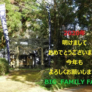 あけましておめでとうございます!