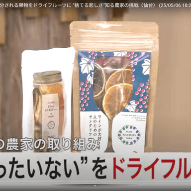 「もったいないをなくしたい」仙台放送 Live Newsイット!出演について