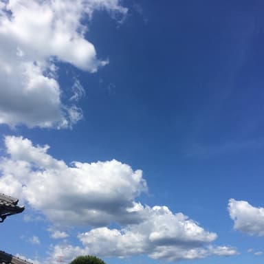 急に寒!!!
