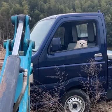 こめちゃんと畑時間