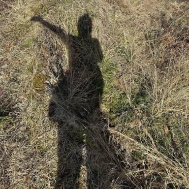 ボサボサの畑と、頼りすぎてる相棒
