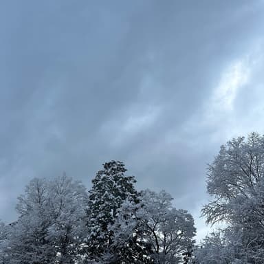 3月なのに雪積もったよ!