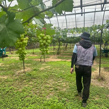 父はすごい。(孫筆)