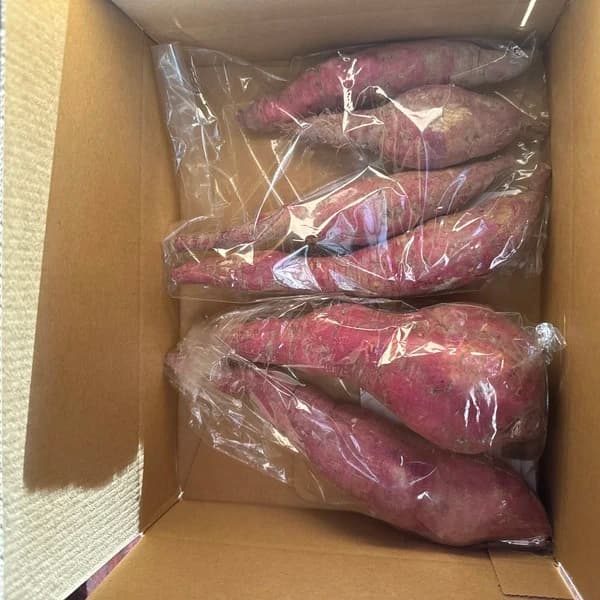【送料無料】紅あずま 800g程度