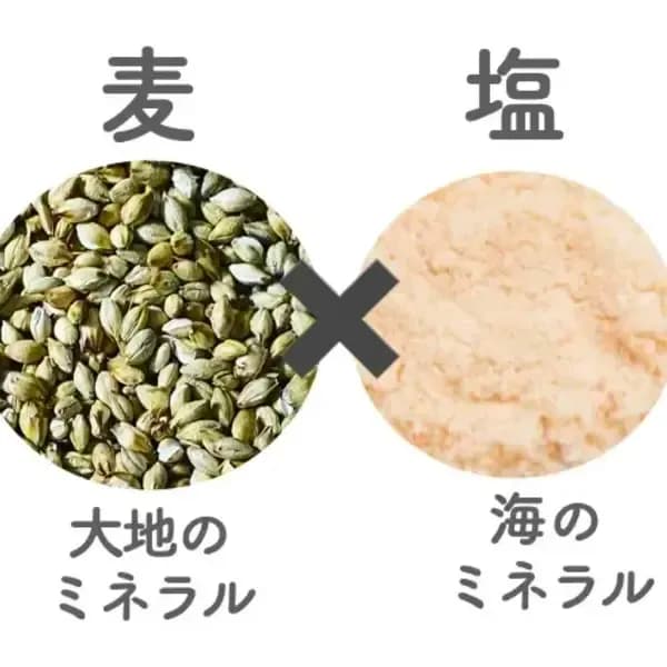 通常サイズ
