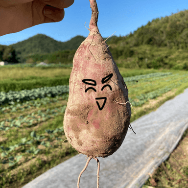 収穫の秋