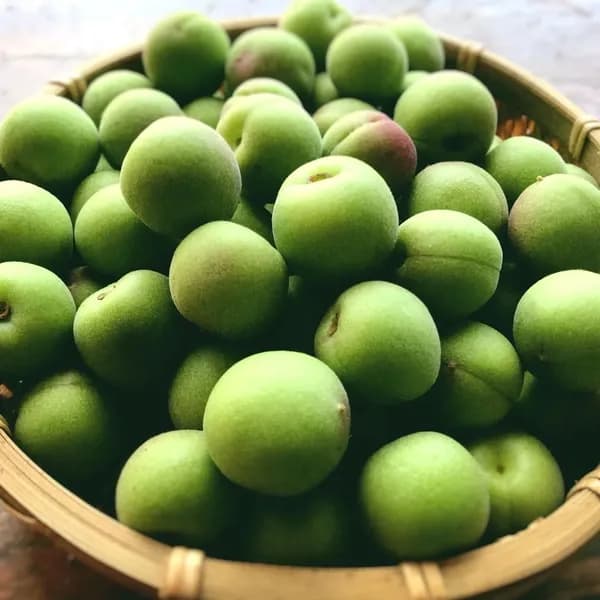 自然栽培小梅・2kg