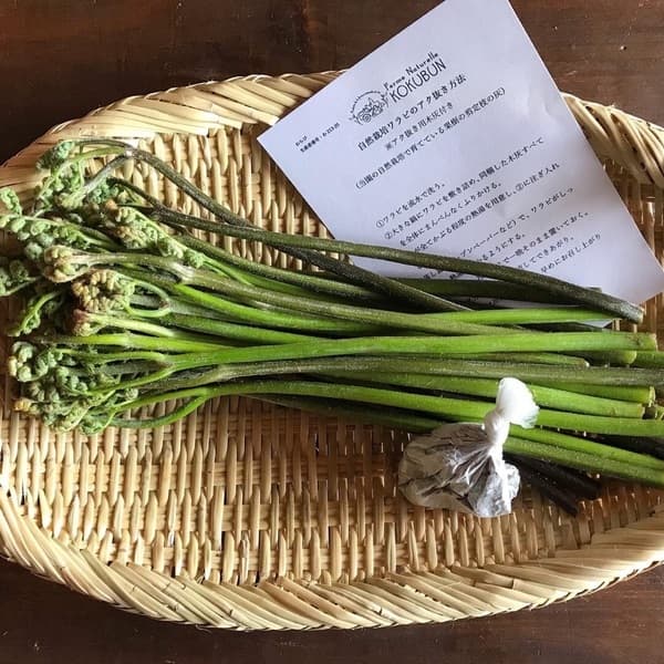 自然栽培のワラビ(アク抜き用木灰付)