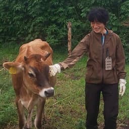 ふもとのジャージー牧場プロフィール画像