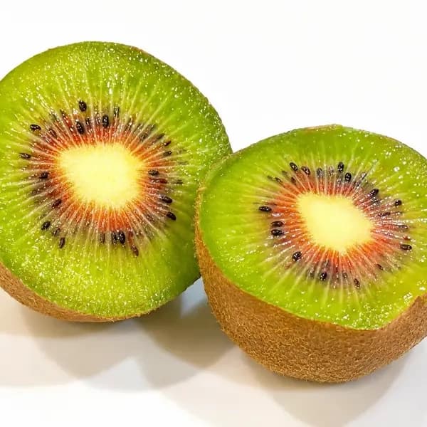 SSサイズ(1kg)