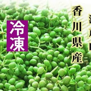 レシピ&サンプル&うまぶどう茶付き!2023年収穫瞬冷凍・うまぶどう果実【冷凍】プレゼントキャンペーン中!