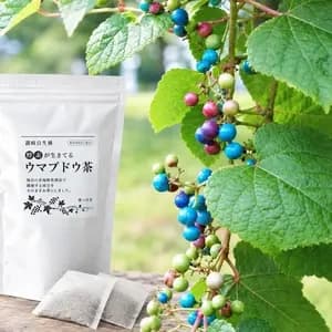 【お湯だし3分・煮出しもOK!】<ウマブドウ茶・野ぶどう茶>自然栽培★酵素が生きてる!|独自の特殊加工を是非