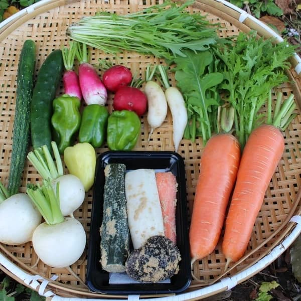 お任せ野菜セット+ぬかごと食べれるぬか漬けお任せ4種セット
