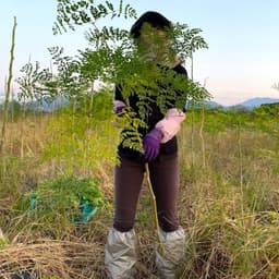 ハーブ色プロフィール画像