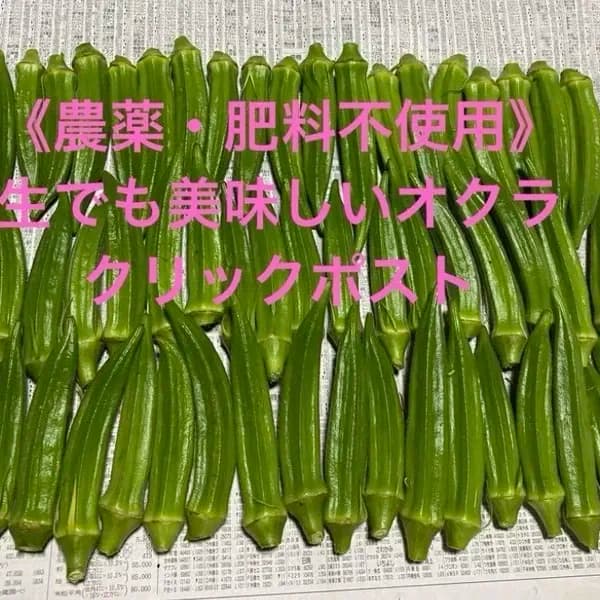 五角オクラ クリックポスト